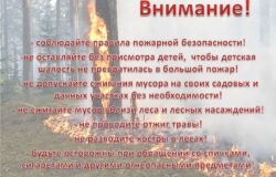 Внимание! Лесные пожары